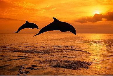 《诡墓》首个重大版本更新推出 “红嫁衣”皮肤免费获取