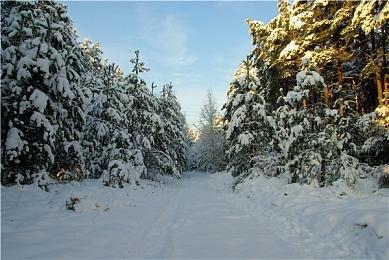 疑似动视搁置的大金刚3D新作设定图曝光