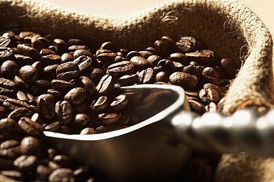 育碧发图宣传《超越善恶2》，但玩家并不买账